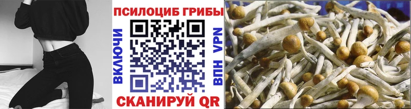 Псилоцибиновые грибы MAGIC MUSHROOMS Гдов