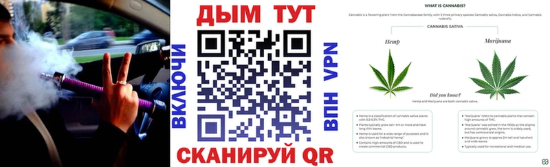 Марихуана сатива  наркошоп  Гдов 